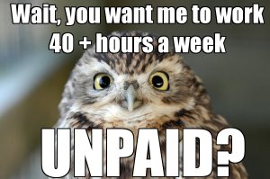 An image discussing unpaid internships.